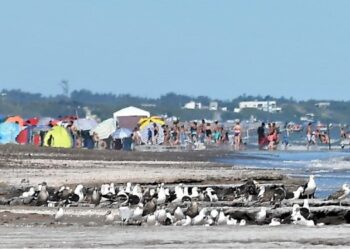 Playa de Monte Hermoso