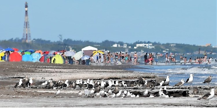 Playa de Monte Hermoso