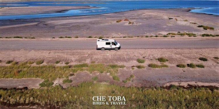 Che Toba Birds & Travel