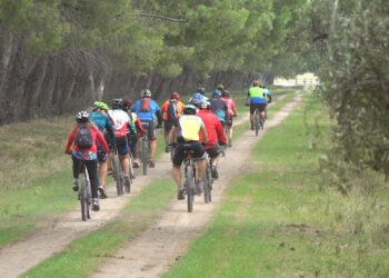 Cicloturismo en la fiesta provincial del Olivo Coronel Dorrego