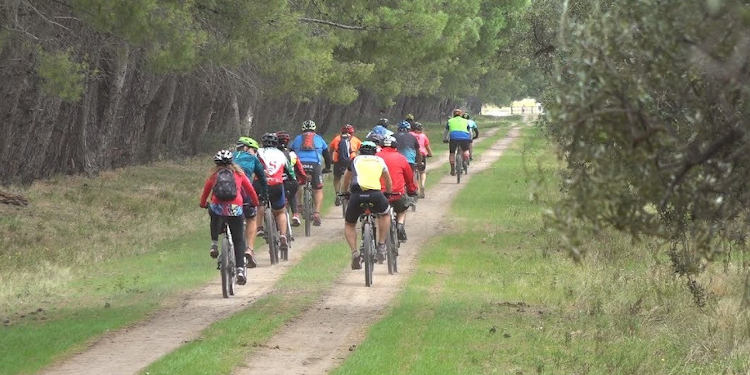 Cicloturismo en la fiesta provincial del Olivo Coronel Dorrego