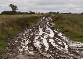 Precipitaciones en la región