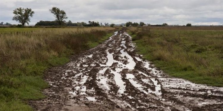 Precipitaciones en la región