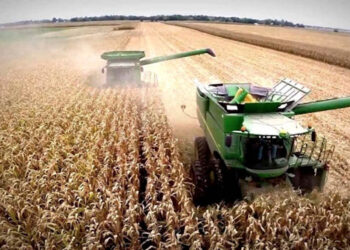 Retenciones al trigo