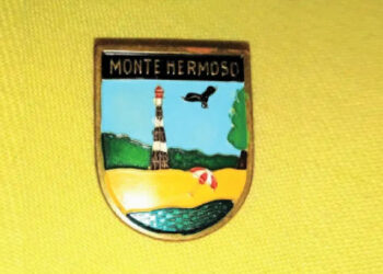 pin de monte hermoso a la venta