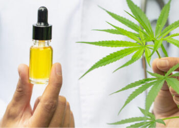 Cannabis farmacéutico