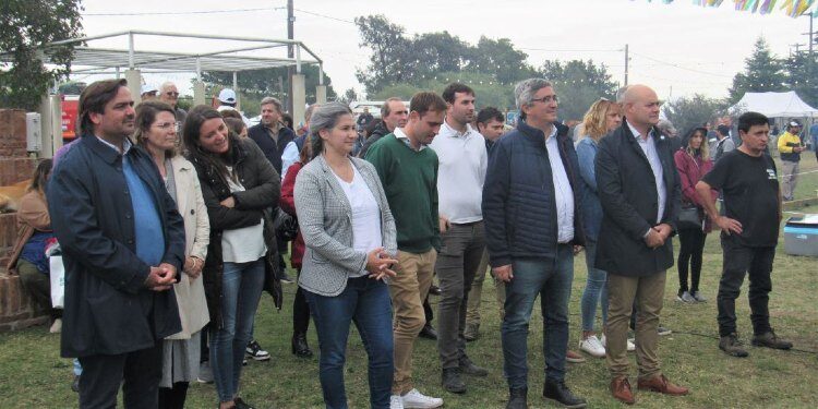 Fiesta Provincial del Olivo Coronel Dorrego