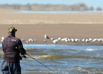 Pronóstico del tiempo en Monte Hermoso y Sauce Grande