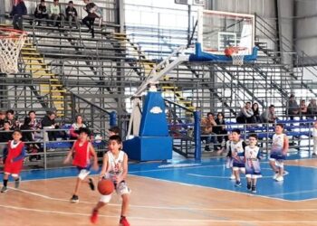 Locales: el buen momento del deporte; mejoras en Plaza Papa Francisco; Pami en Sauce Grande; curso sobre maternidad
