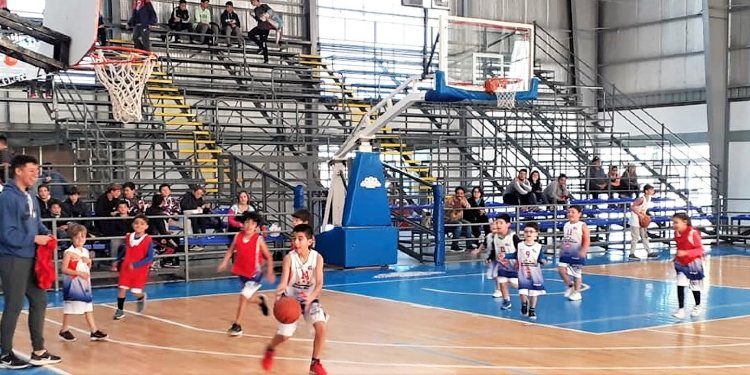 Locales: el buen momento del deporte; mejoras en Plaza Papa Francisco; Pami en Sauce Grande; curso sobre maternidad