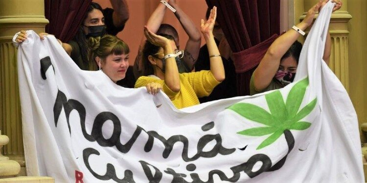 Cannabis medicinal