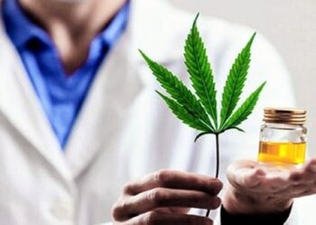 Cannabis Medicinal