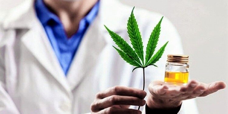 Cannabis Medicinal