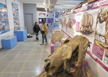 Museo de Ciencias Naturales Vicente Di Martino Monte Hermoso
