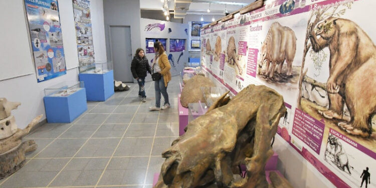 Museo de Ciencias Naturales Vicente Di Martino Monte Hermoso