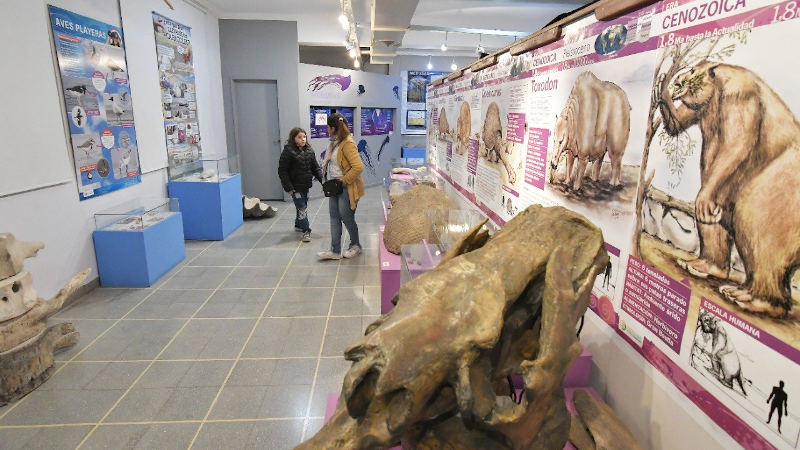 Museo de Ciencias Naturales Vicente Di Martino Monte Hermoso