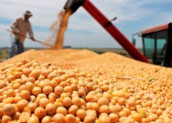 Productores agropecuarios