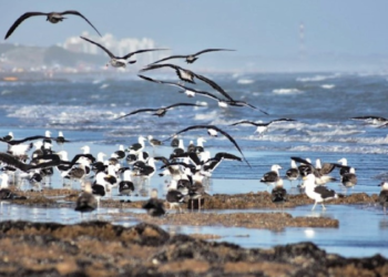 clima en Monte Hermoso
