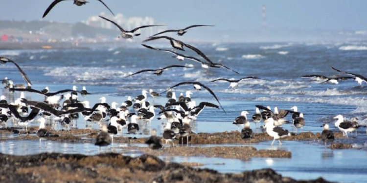 clima en Monte Hermoso