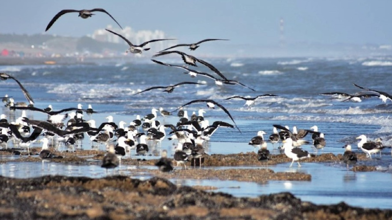 clima en Monte Hermoso