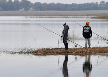 Certamen de pesca kids