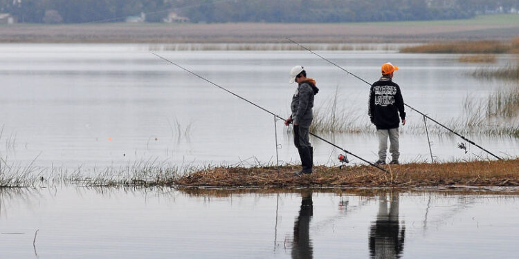 Certamen de pesca kids