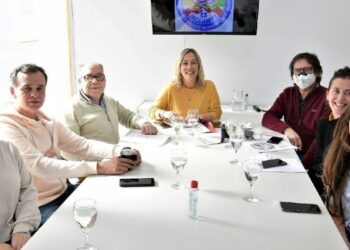 Consejo Municipal para Personas con Discapacidad