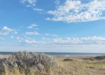 Pronóstico del tiempo