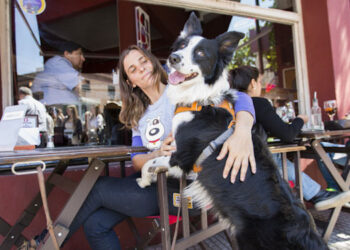 Bahía Pet Friendly