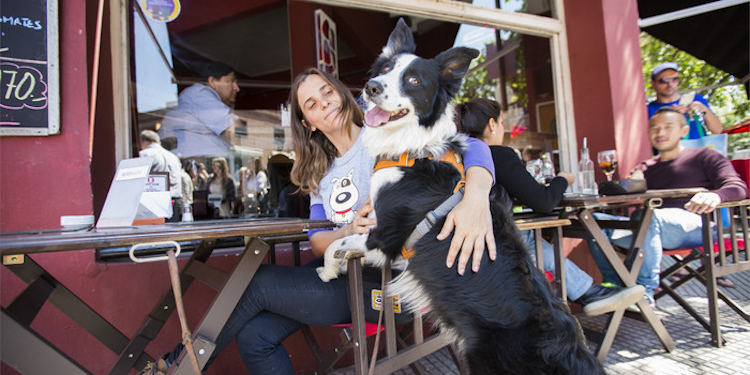 Bahía Pet Friendly