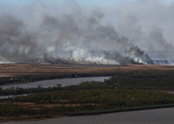 Incendios en humedales