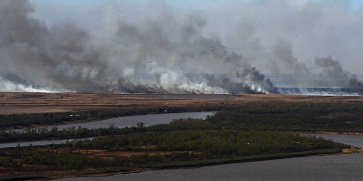 Incendios en humedales