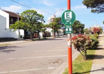 Estacionamiento medido y pago
