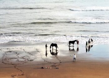 Caballos en la playa en Sauce Grande
