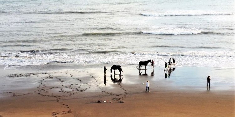 Caballos en la playa en Sauce Grande