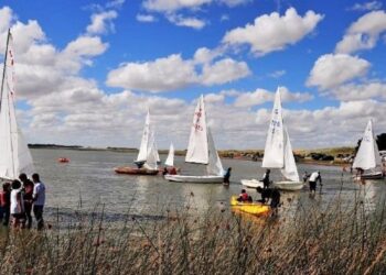 Regatas Sauce Grande