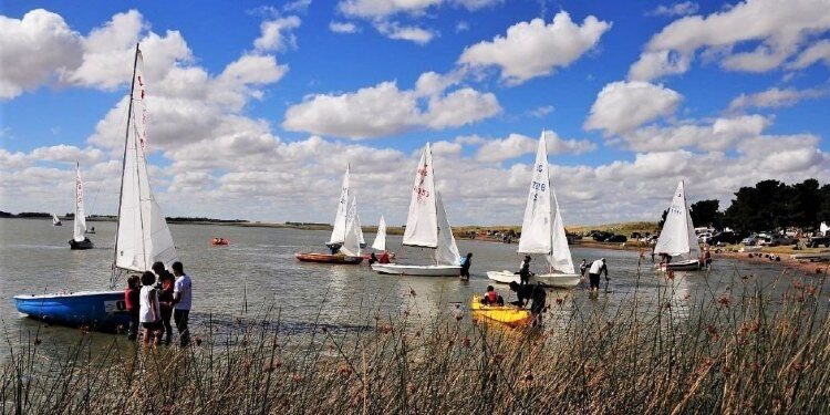 Regatas Sauce Grande