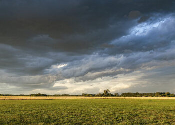 Registro de lluvias en la región sur de buenos aires