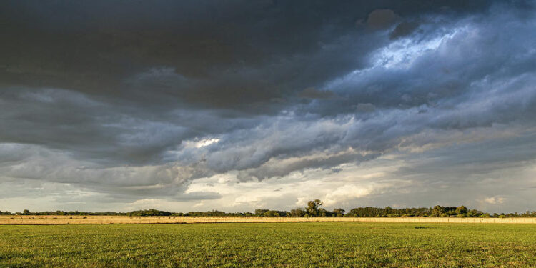 Registro de lluvias en la región sur de buenos aires