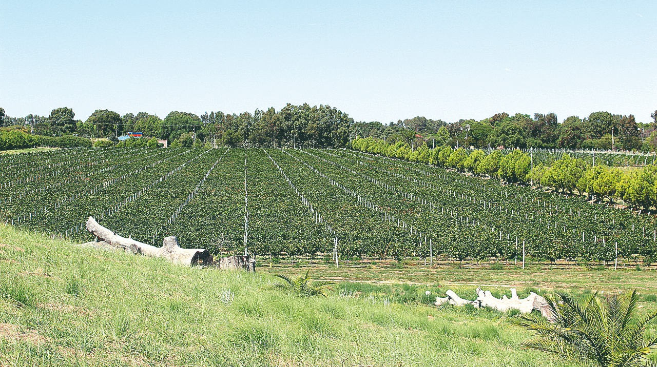 Bodega Al Este