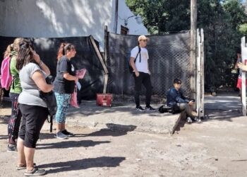 Castración gratuita canina y felina