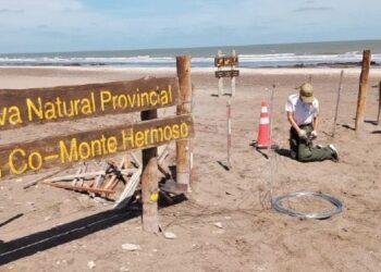 Reparación de alambrados en la Reserva