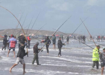 24 horas de la corvina negra