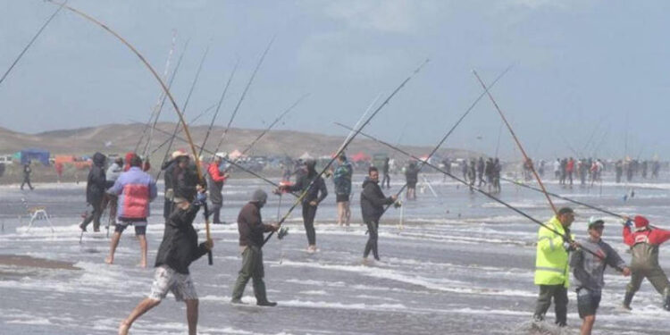 24 horas de la corvina negra