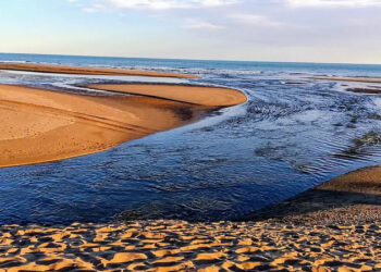 Desembocadura del rio sauce grande