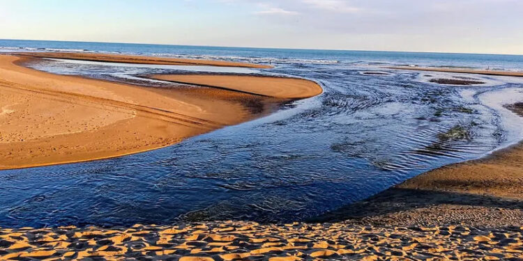 Desembocadura del rio sauce grande