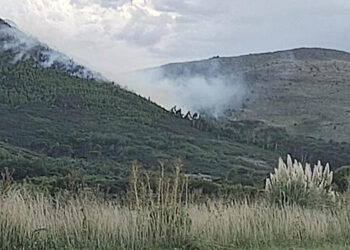 Incendio en el Parque Provincial Tornquist