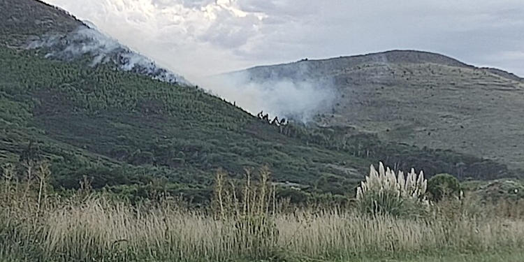 Incendio en el Parque Provincial Tornquist
