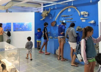 Museo de ciencias naturales Vicente Di Martino Monte Hermoso