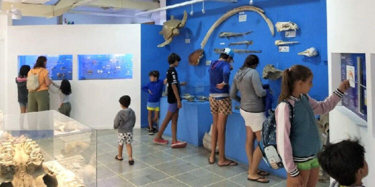 Museo de ciencias naturales Vicente Di Martino Monte Hermoso